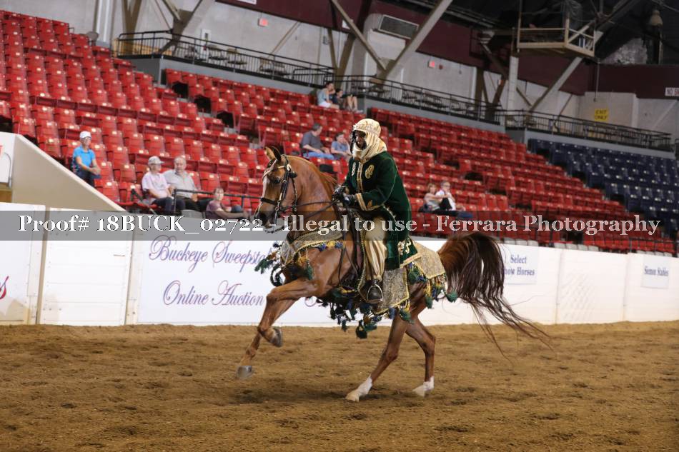 Proof 18BUCK_02722