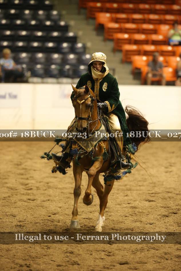 Proof 18BUCK_02723