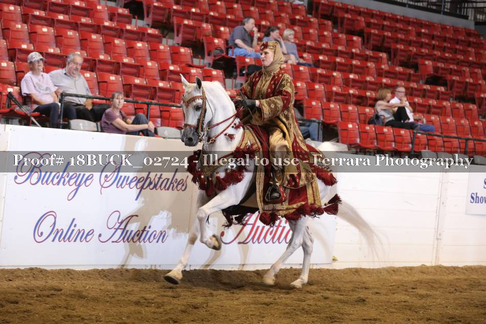 Proof 18BUCK_02724