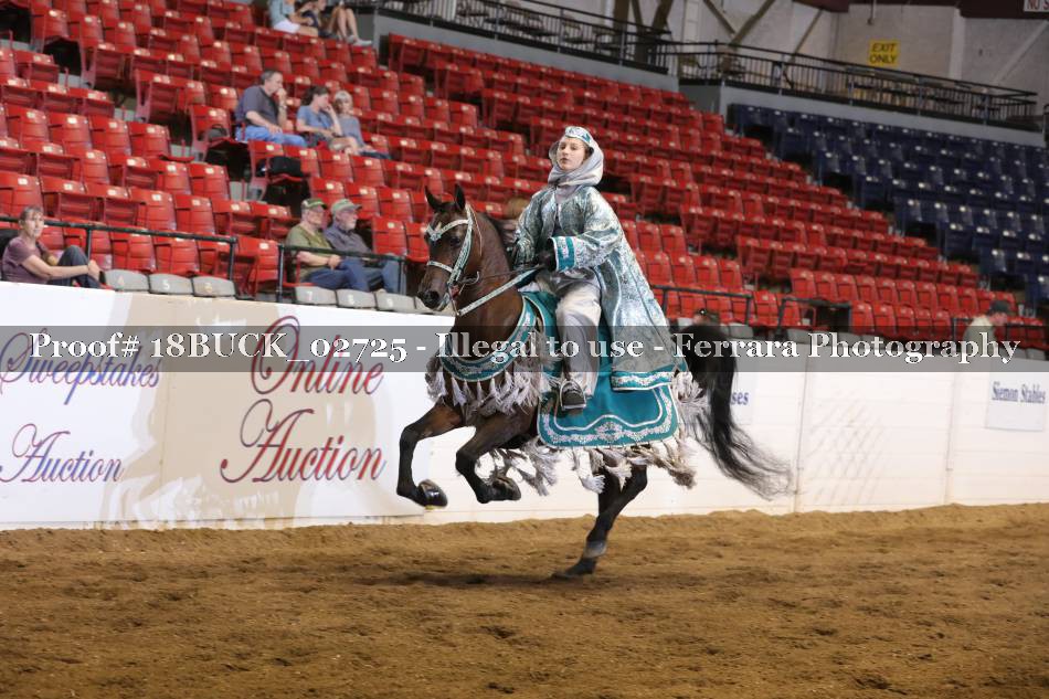 Proof 18BUCK_02725