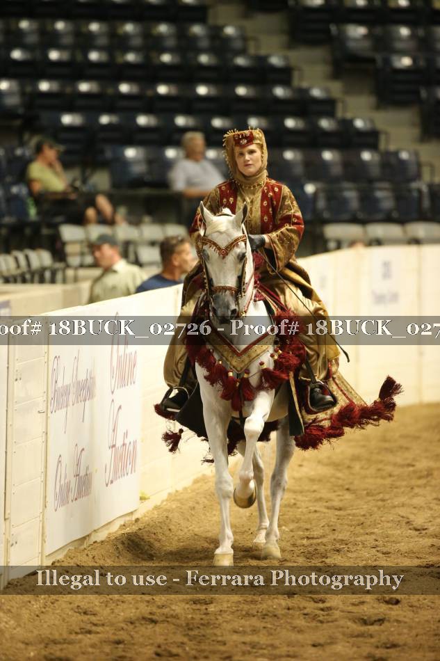 Proof 18BUCK_02726