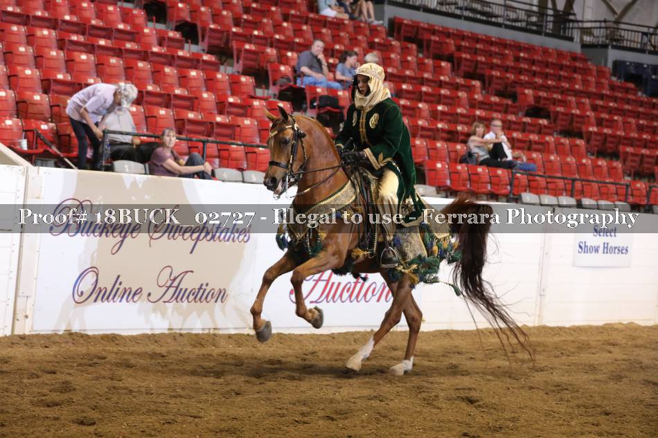 Proof 18BUCK_02727