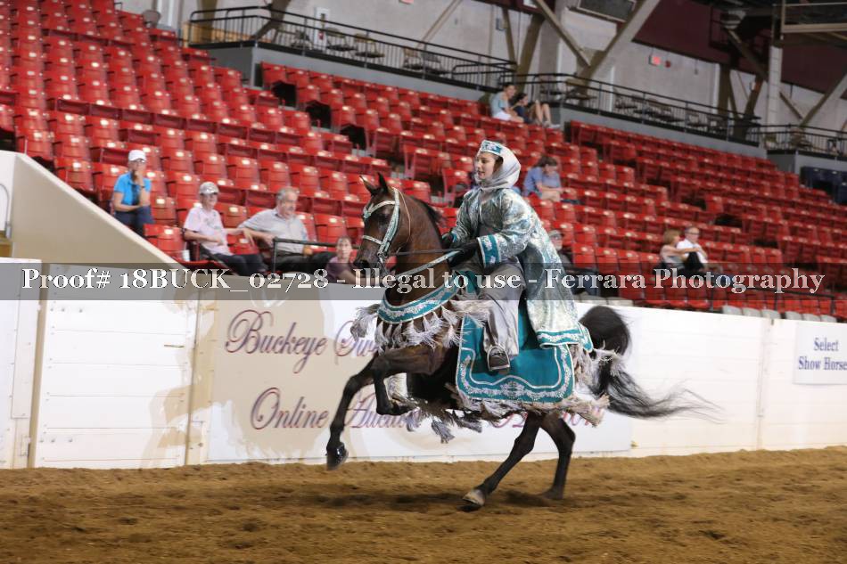 Proof 18BUCK_02728