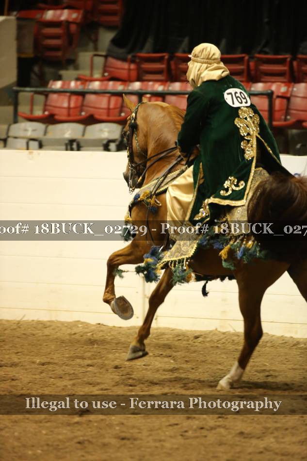 Proof 18BUCK_02729