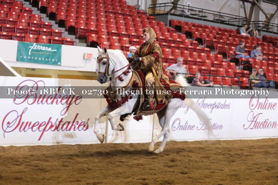 Proof 18BUCK_02730