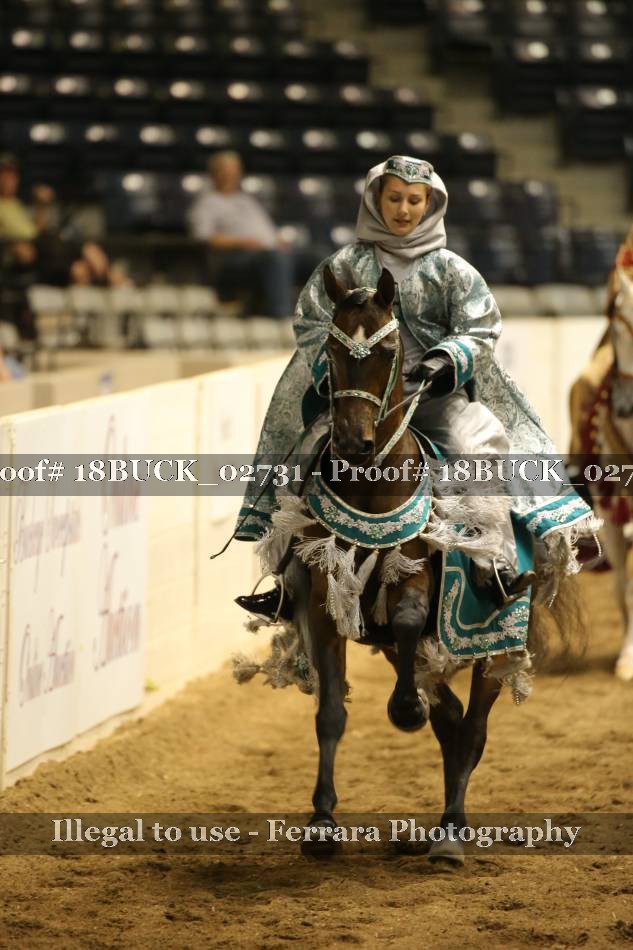 Proof 18BUCK_02731