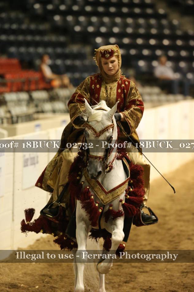 Proof 18BUCK_02732