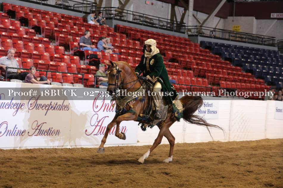 Proof 18BUCK_02733