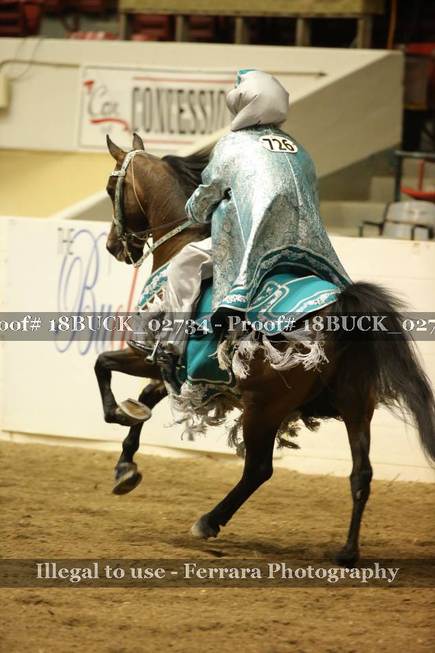 Proof 18BUCK_02734