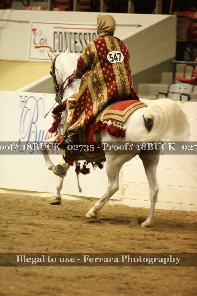 Proof 18BUCK_02735