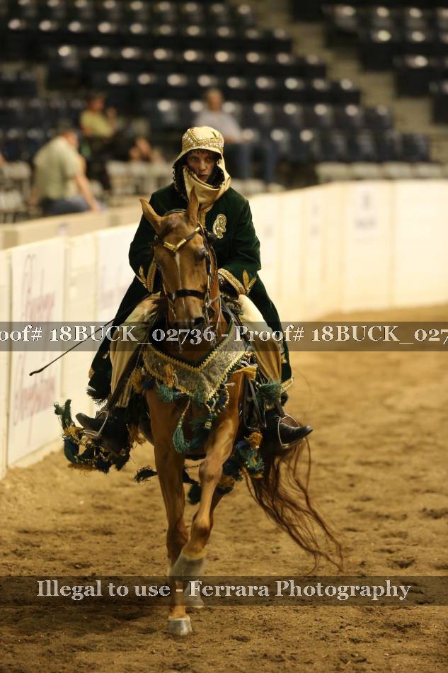 Proof 18BUCK_02736