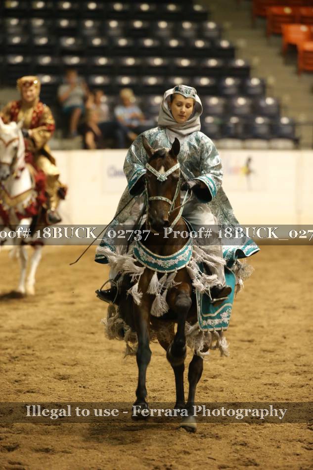 Proof 18BUCK_02737