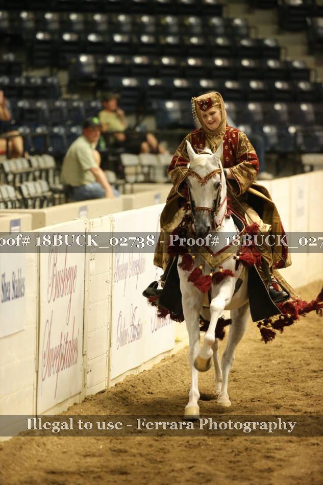 Proof 18BUCK_02738