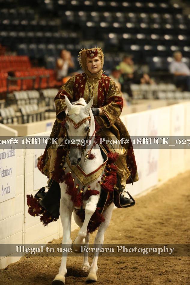Proof 18BUCK_02739