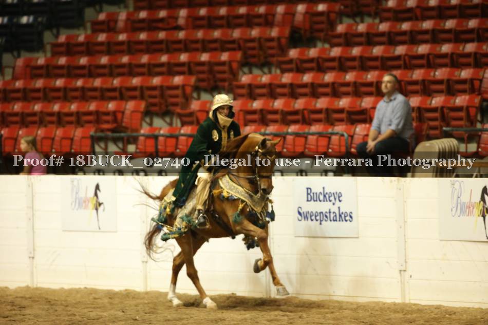 Proof 18BUCK_02740