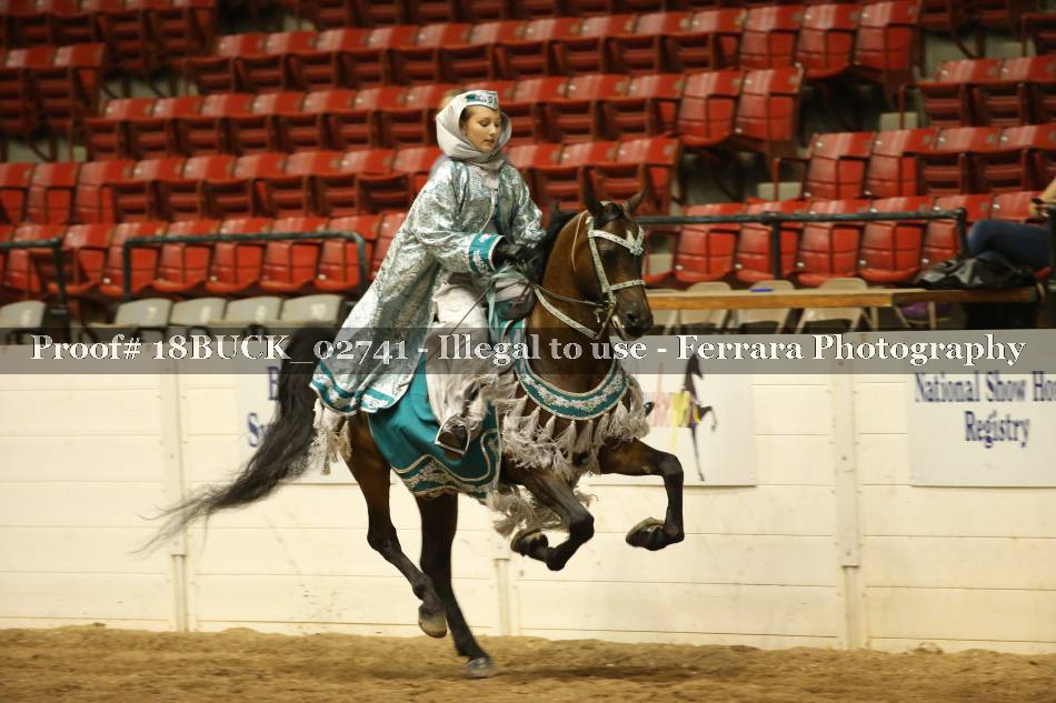 Proof 18BUCK_02741