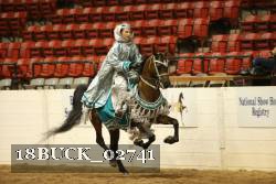 18BUCK_02741 proof