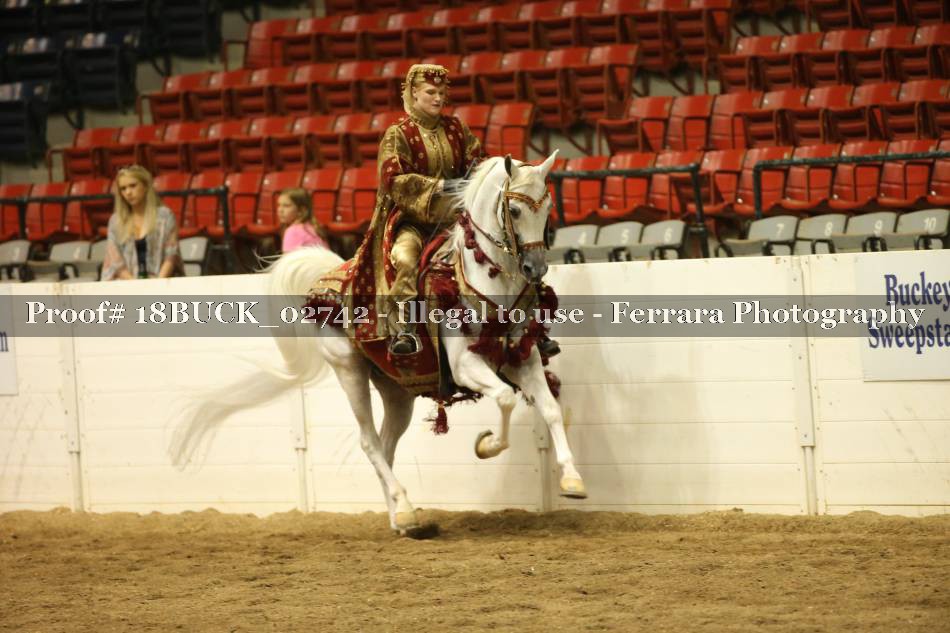 Proof 18BUCK_02742