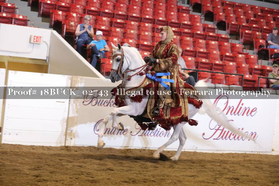 Proof 18BUCK_02743