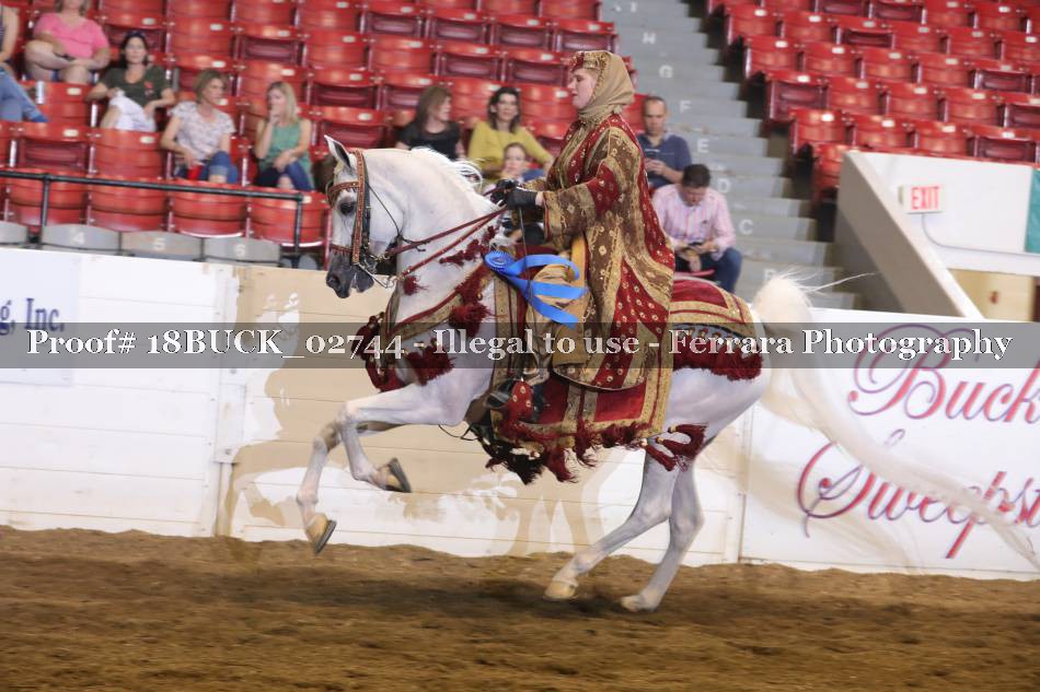 Proof 18BUCK_02744