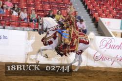 18BUCK_02744 proof