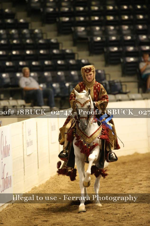 Proof 18BUCK_02745