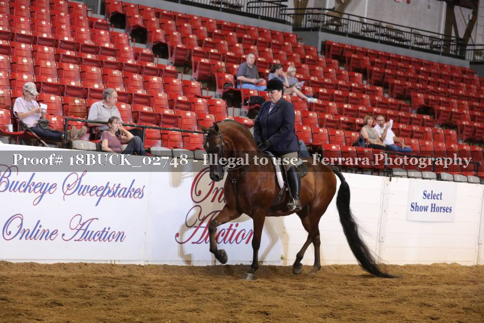 Proof 18BUCK_02748