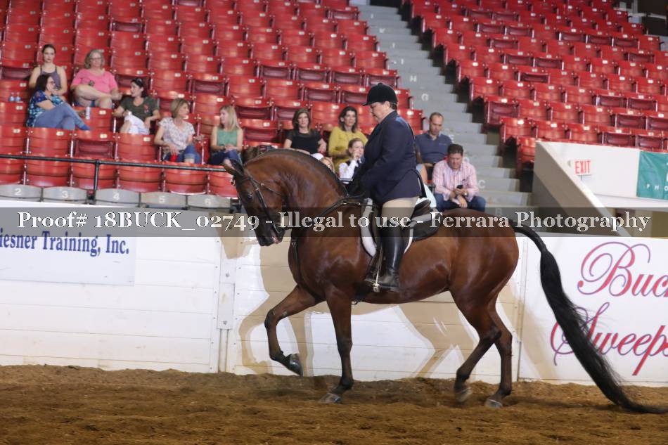 Proof 18BUCK_02749