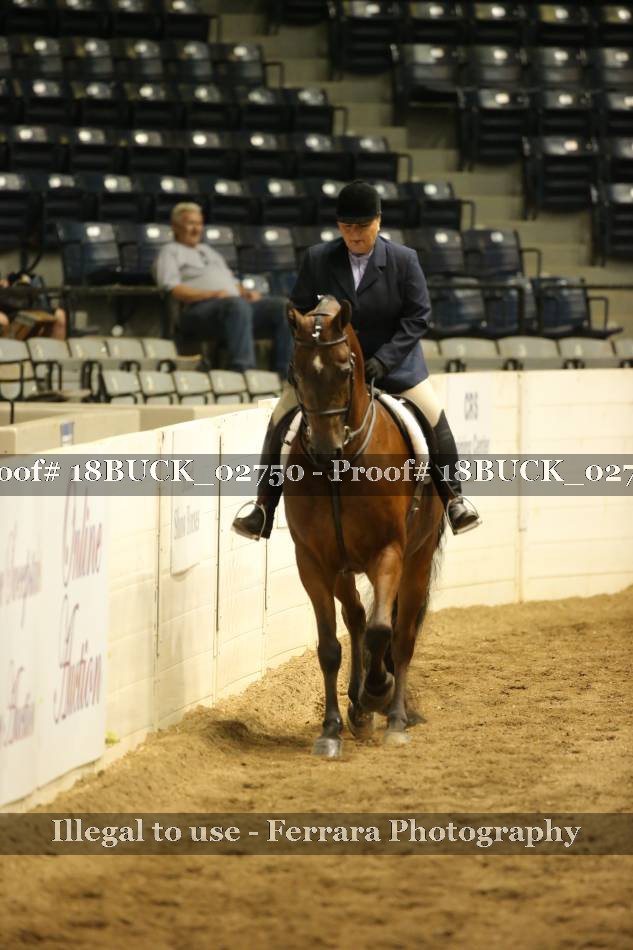 Proof 18BUCK_02750
