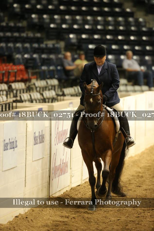 Proof 18BUCK_02751