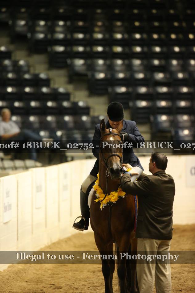 Proof 18BUCK_02752