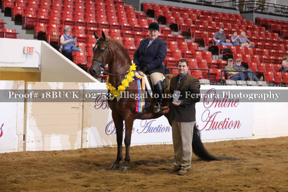 Proof 18BUCK_02753