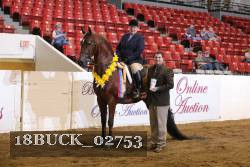 18BUCK_02753 proof