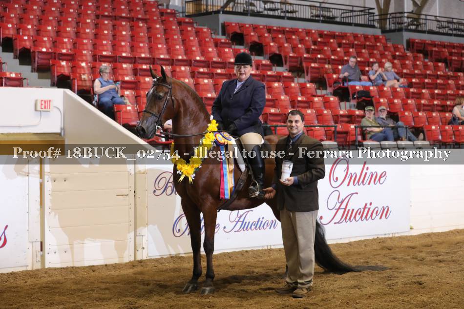 Proof 18BUCK_02754