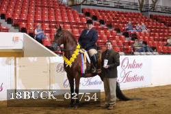 18BUCK_02754 proof