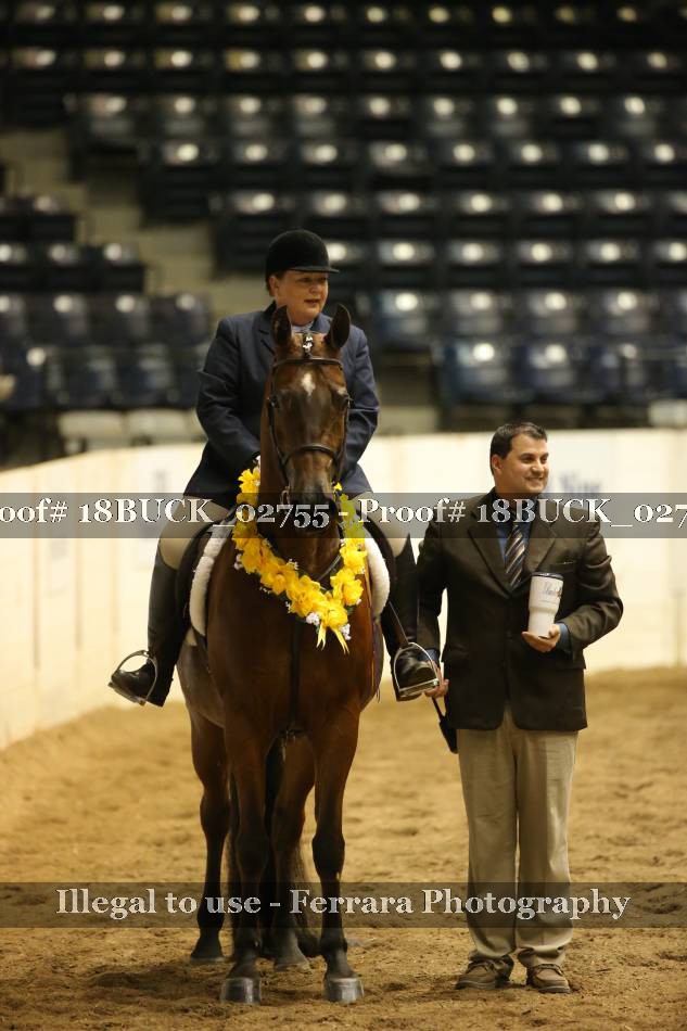 Proof 18BUCK_02755