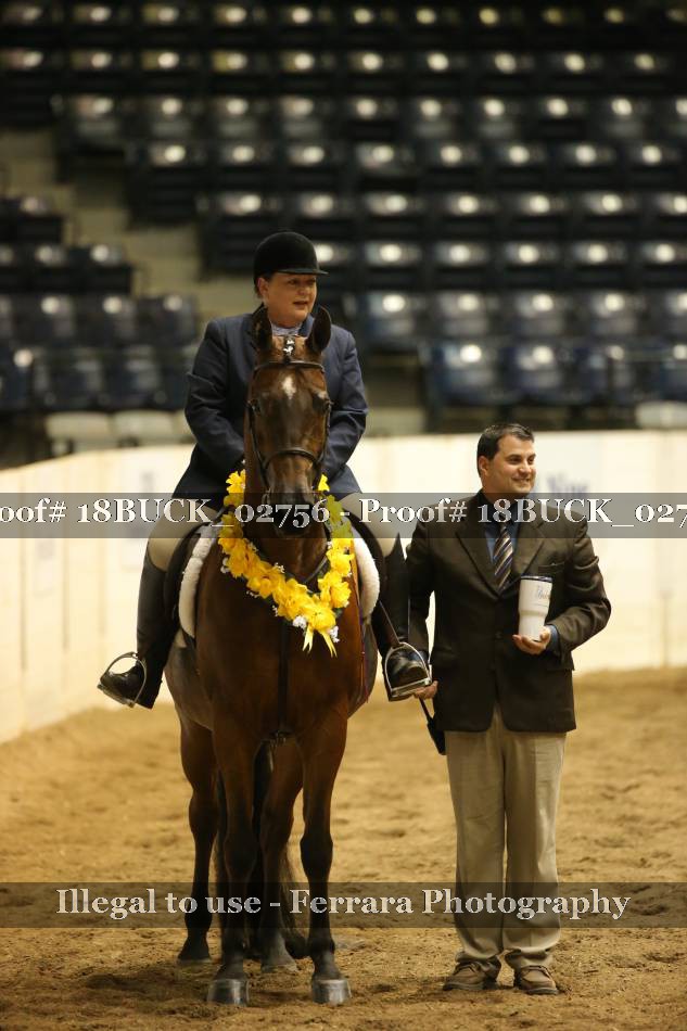 Proof 18BUCK_02756