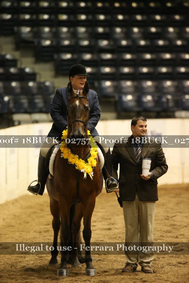 Proof 18BUCK_02757