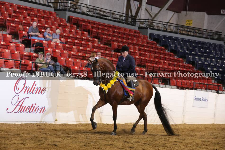 Proof 18BUCK_02758