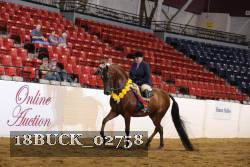 18BUCK_02758 proof