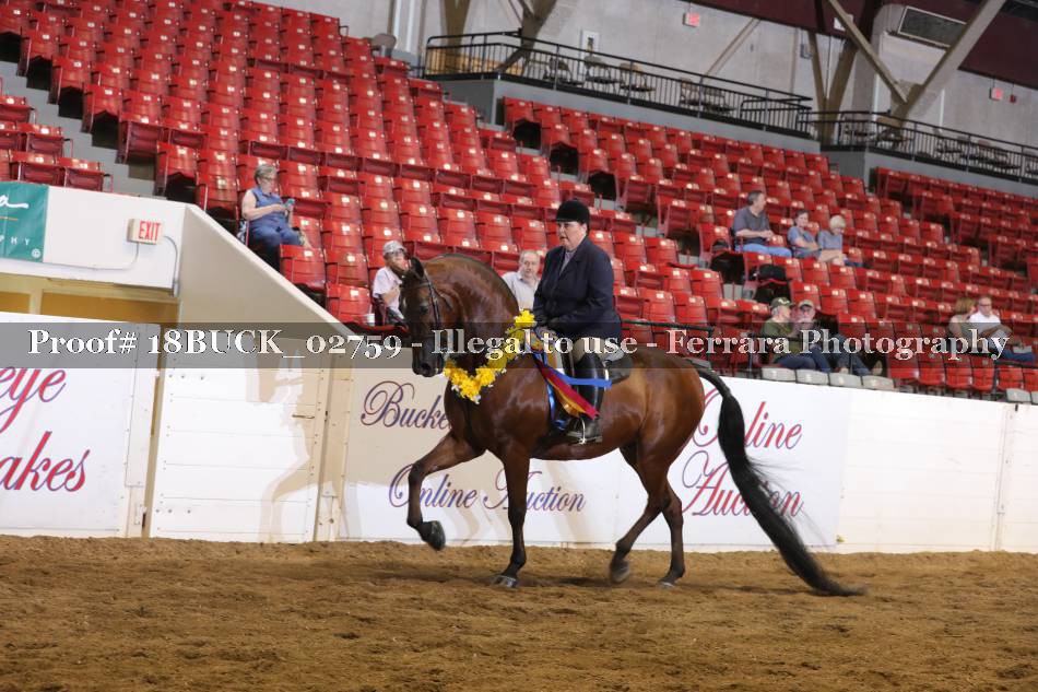 Proof 18BUCK_02759