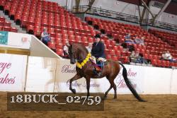 18BUCK_02759 proof