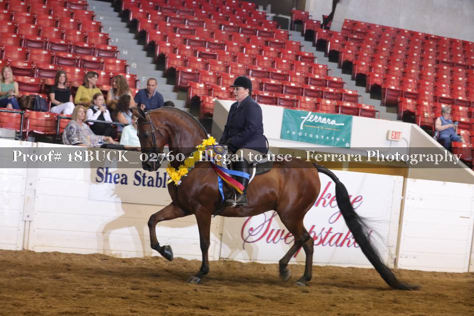 Proof 18BUCK_02760