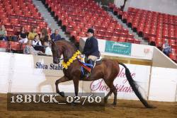 18BUCK_02760 proof