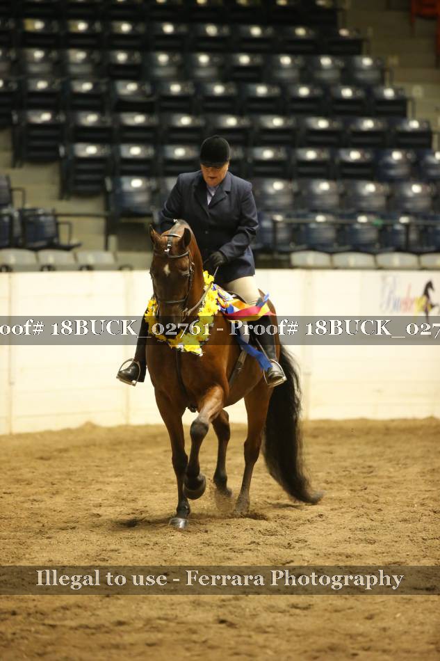 Proof 18BUCK_02761