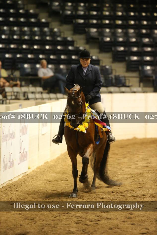 Proof 18BUCK_02762