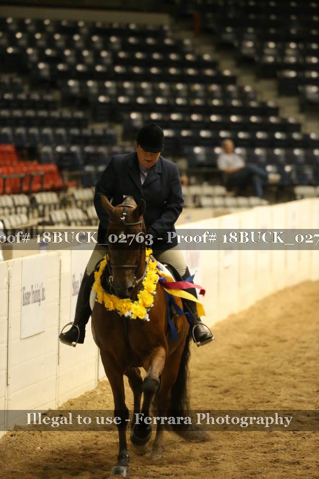 Proof 18BUCK_02763