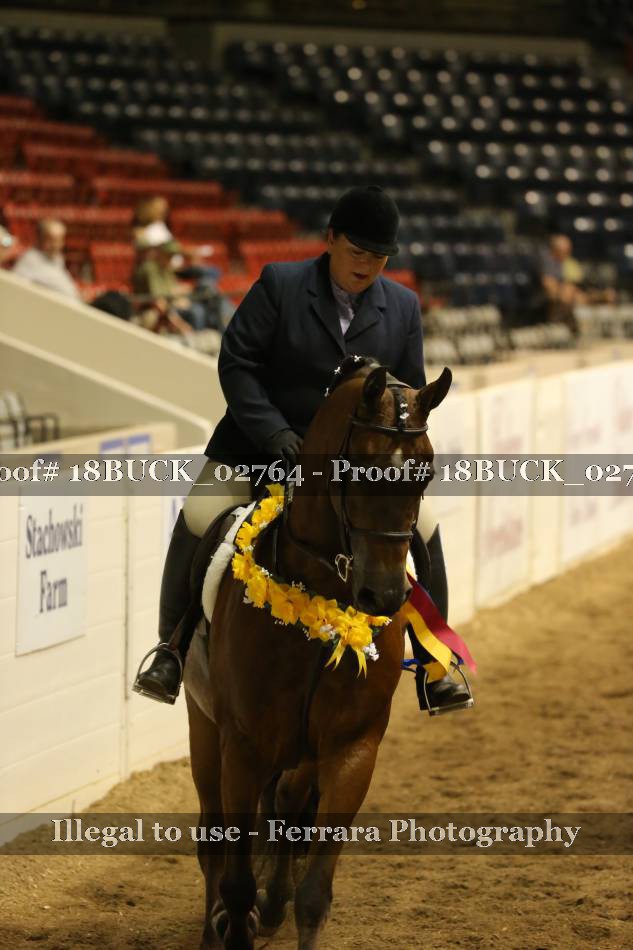 Proof 18BUCK_02764
