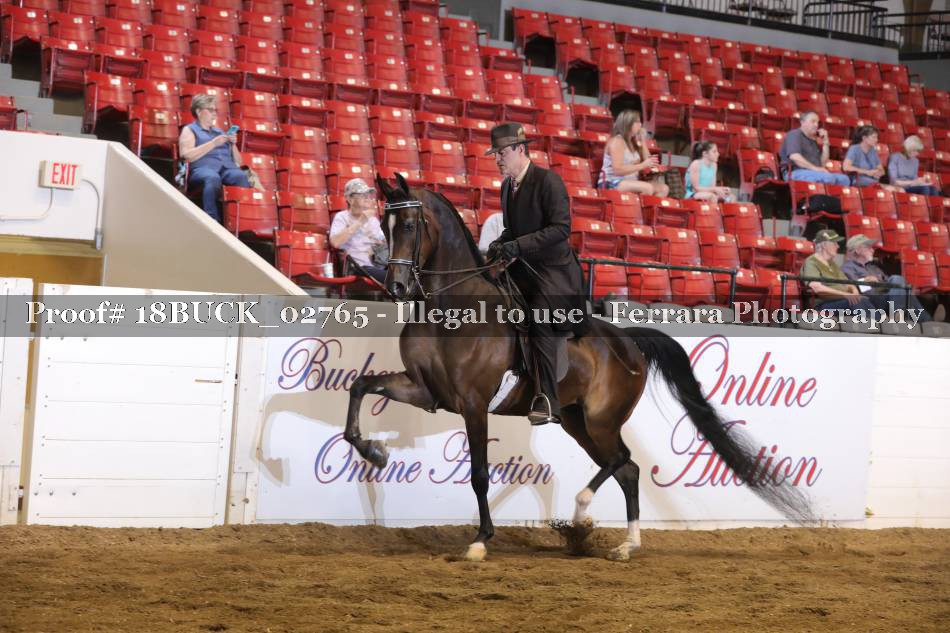 Proof 18BUCK_02765