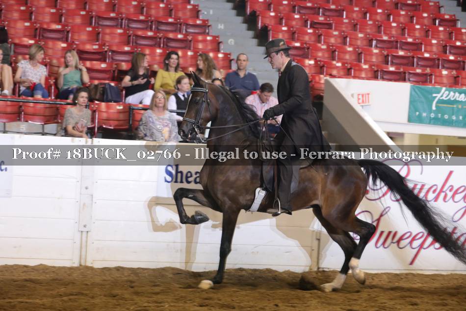 Proof 18BUCK_02766